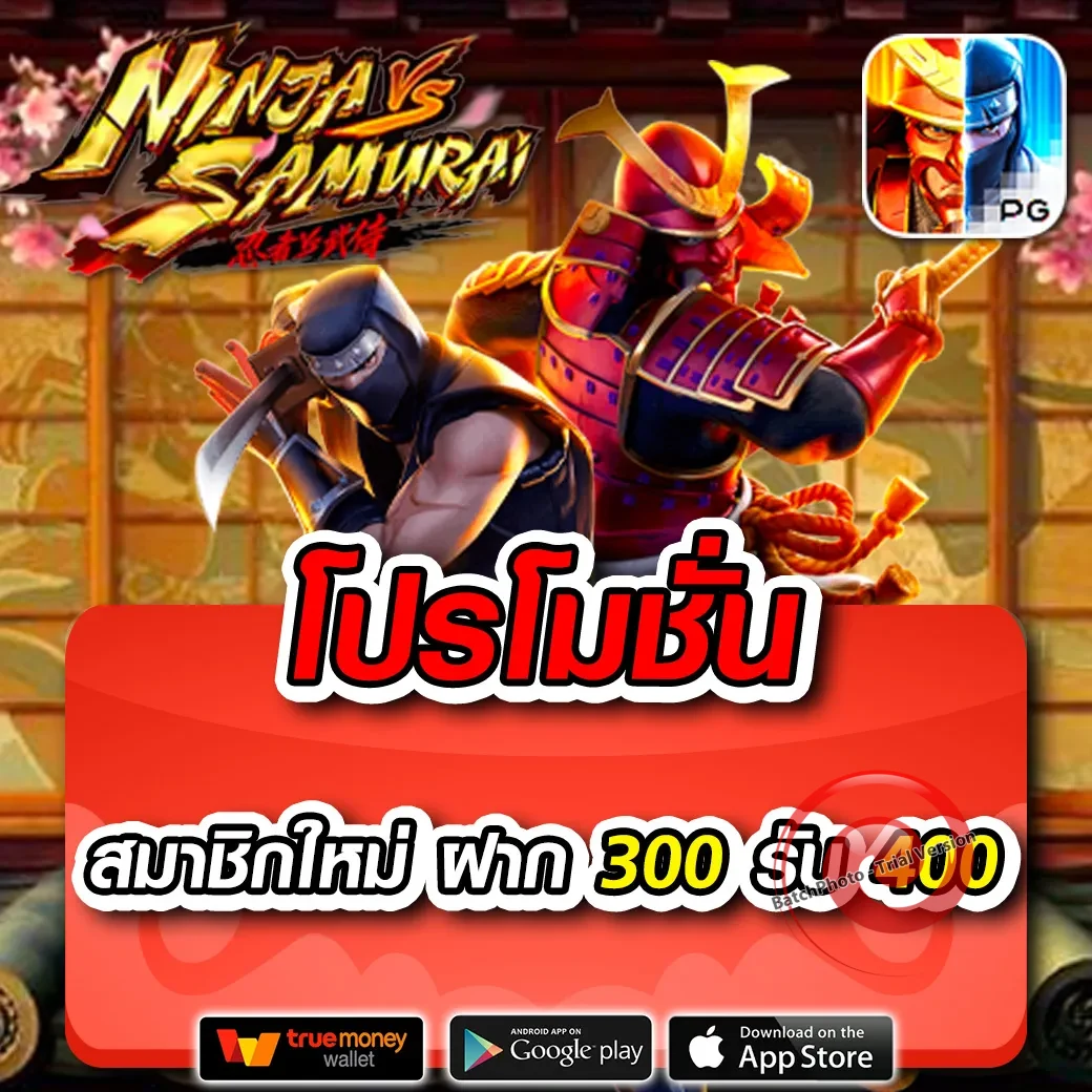 พีจี 333